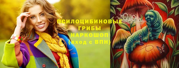 mdpv Белокуриха